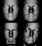 eigenface