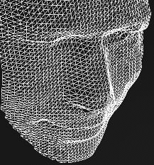 mesh
