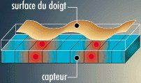 thermal fingerprint sensors