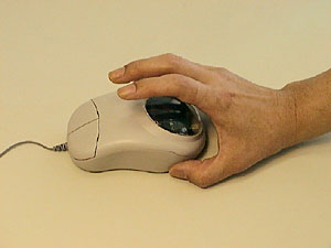 Fujitsu mouse