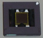 FingerChip prototype